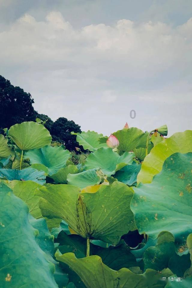 逃出重围第一章